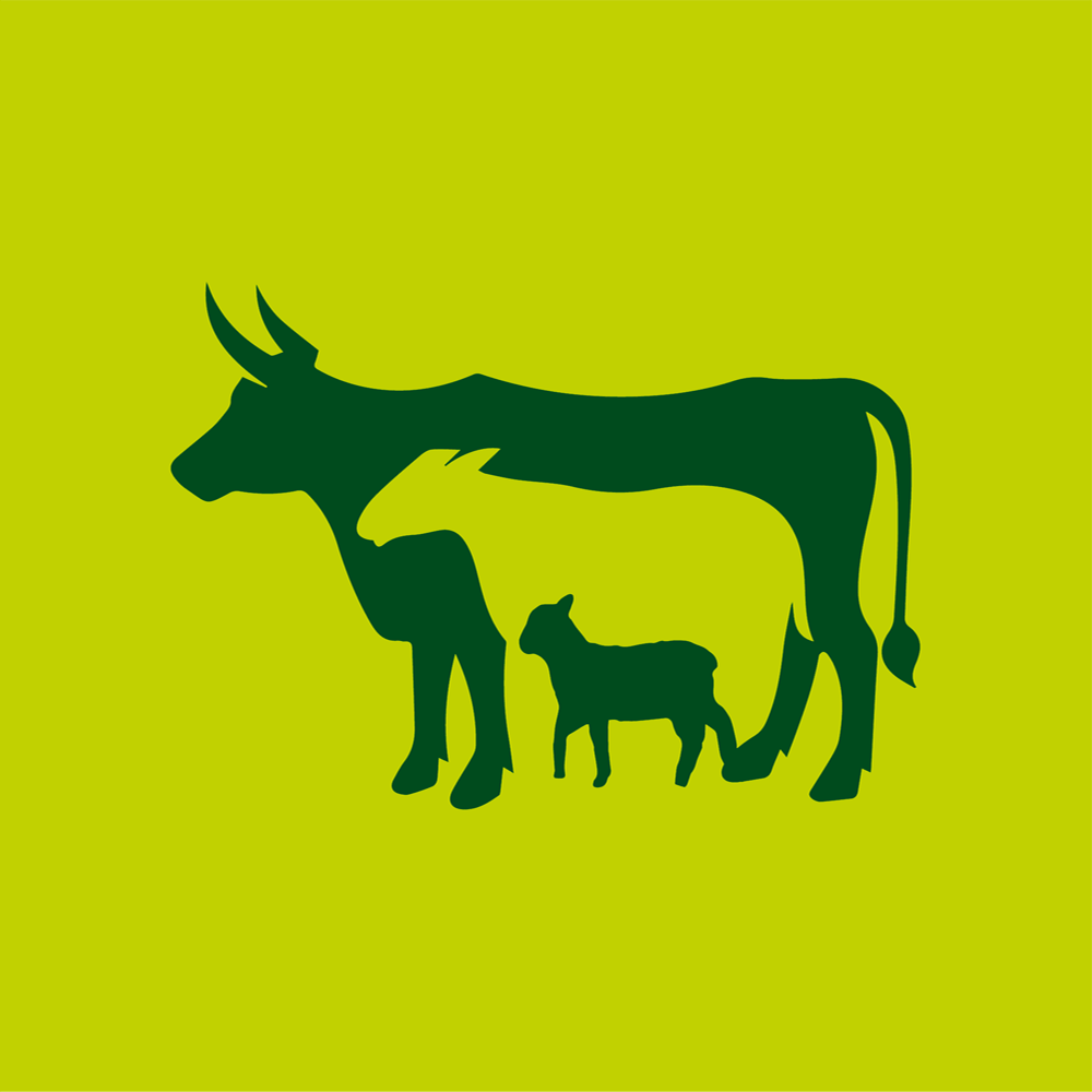 Ruminant Yem Katkı Maddeleri