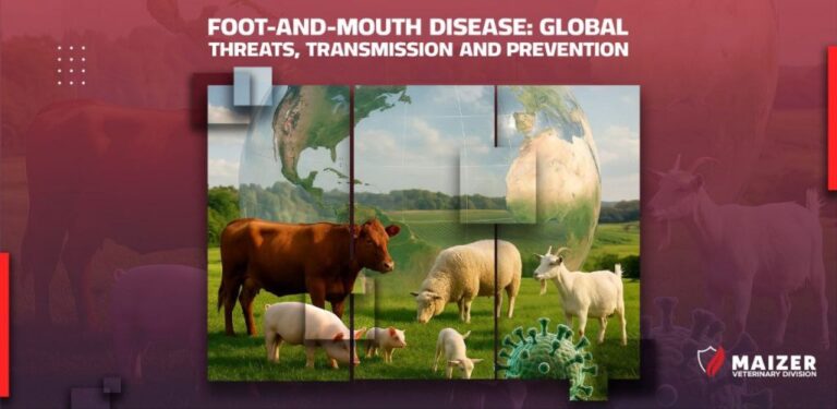 Foot‑and‑Mouth Disease: Global Threats, Transmission and Prevention #2